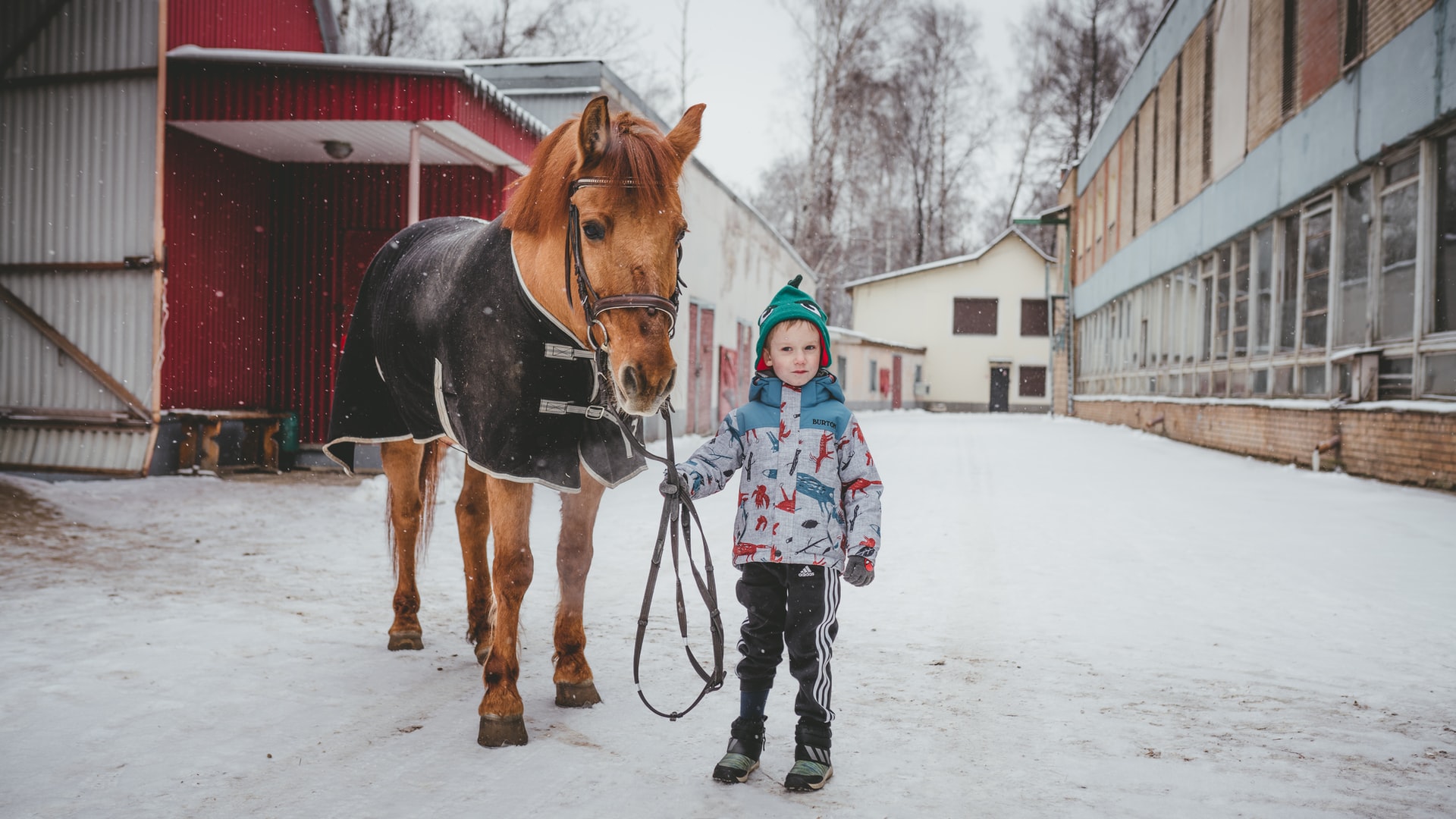 Końska dawka zdrowia - Niezwykłe miejsce, w którym niepełnosprawne dzieci poznają świat