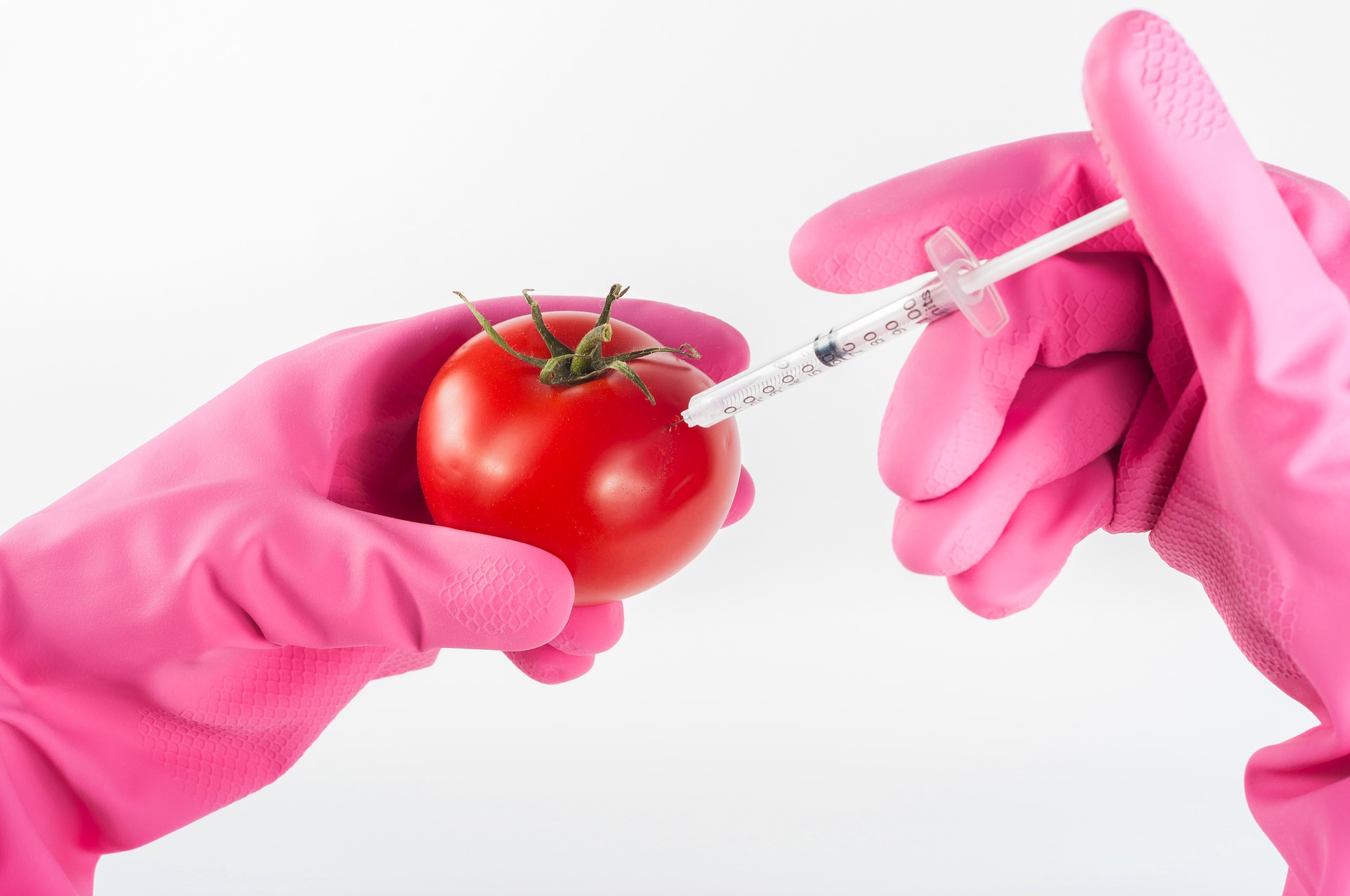 6 podstawowych prawd i mitów na temat GMO