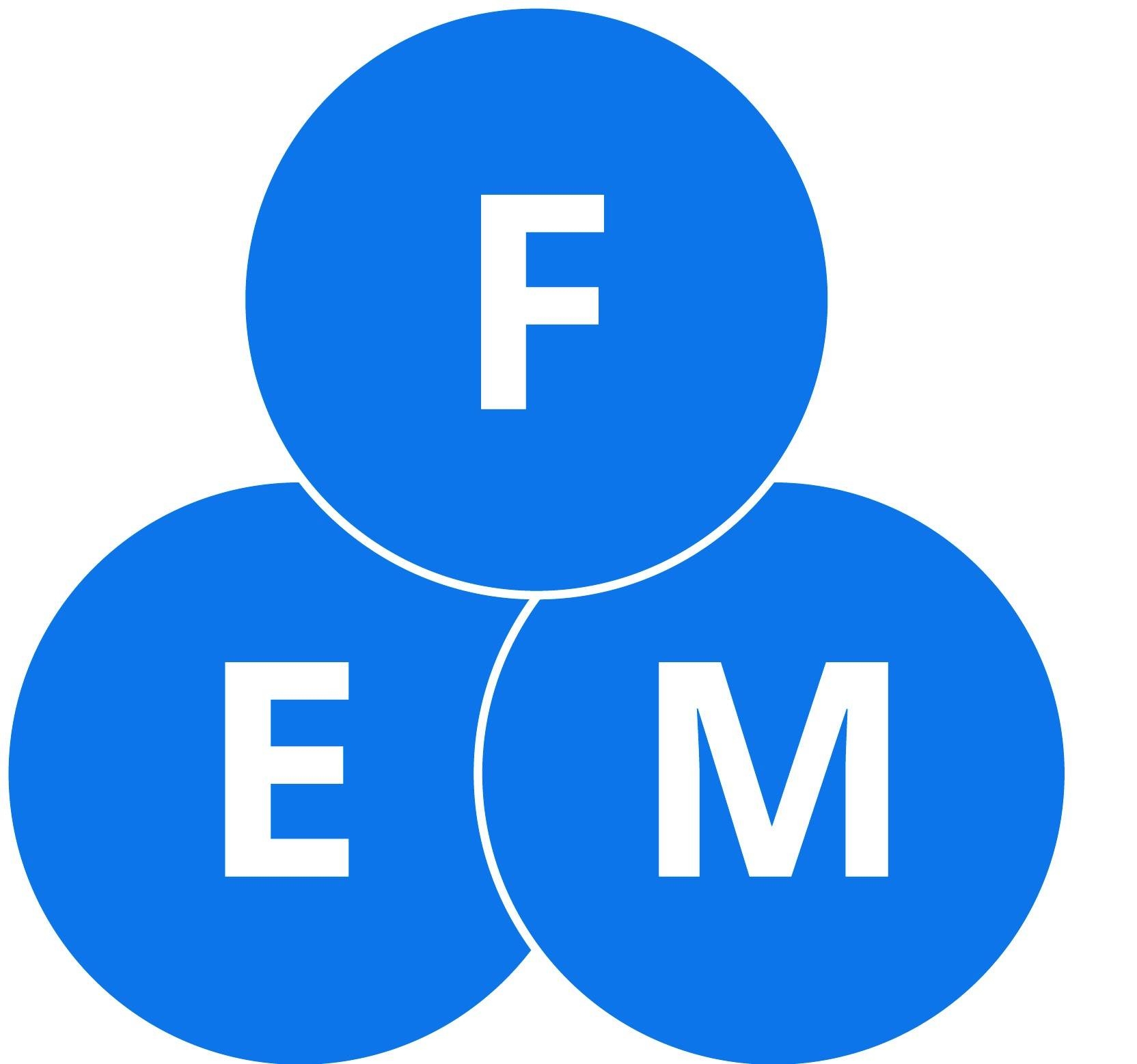 Fundacja Edukacji i Mediów - FEiM