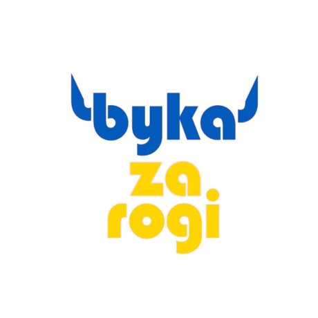 Fundacja Byka za Rogi
