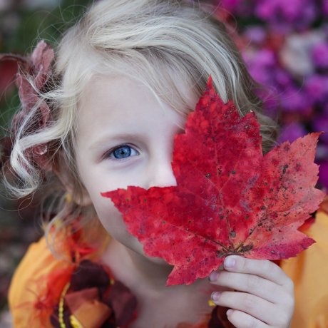 Fundacja Przystanek Twórczy