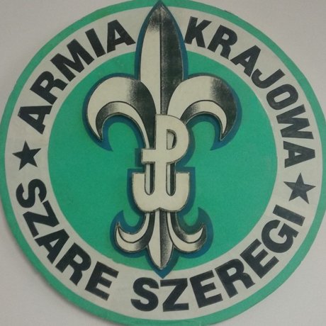 Stowarzyszenie Szarych Szeregów